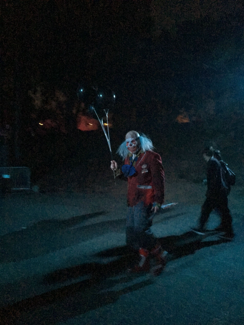 This is Hollywood Harry, the clown at the center of Roth’s story.